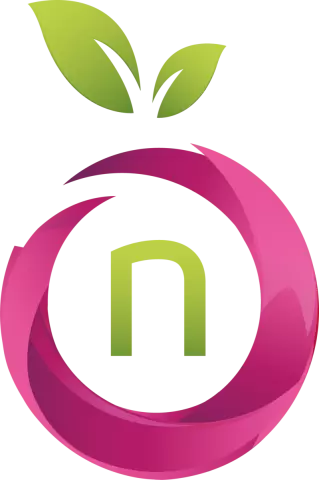 Namefruits logo