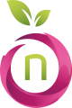 Namefruits logo